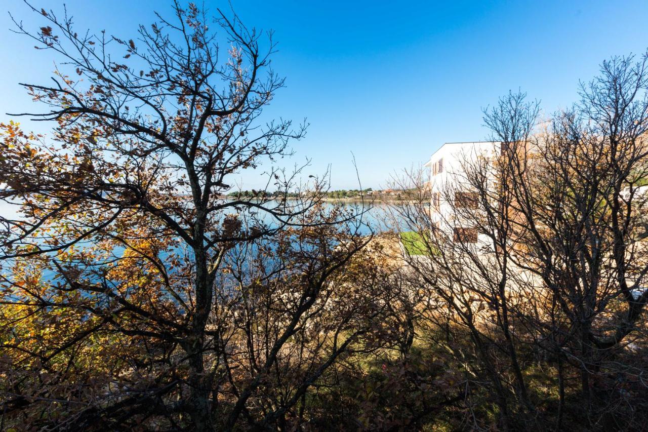 Pansion Croatia Bed & Breakfast Starigrad Paklenica Exterior foto
